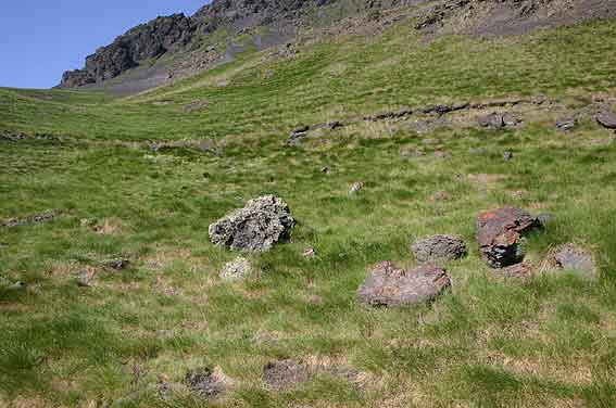 habitat of Aran Rock Lizard (Iberolacerta aranica)