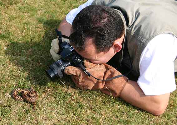 Jan (VDV, again the HYLA gang leader) shooting the viper