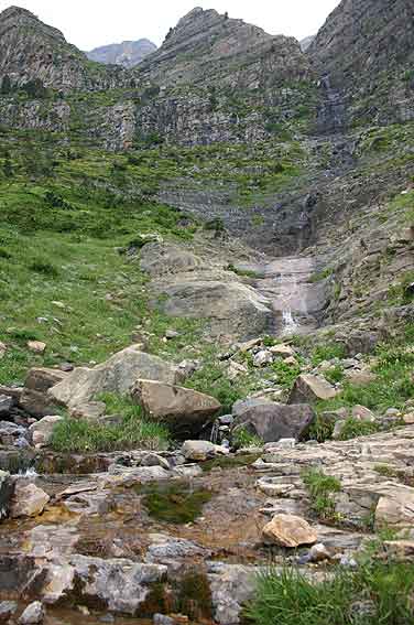 stream in PN Ordesa, with Pyrenean Stream Frog and Pyrenean Brook Newt